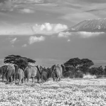 Národní park Amboseli - Keňa