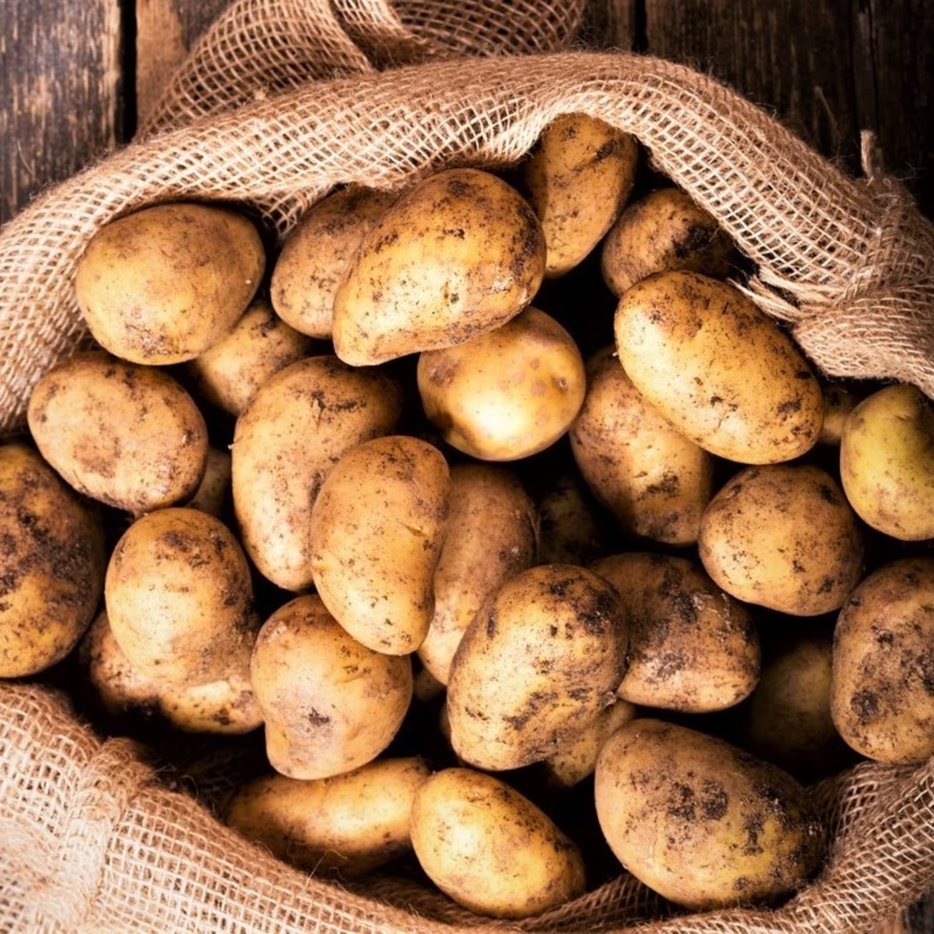 Čeští zemědělci mají přebytek brambor a bojí se, že je budou muset zlikvidovat.