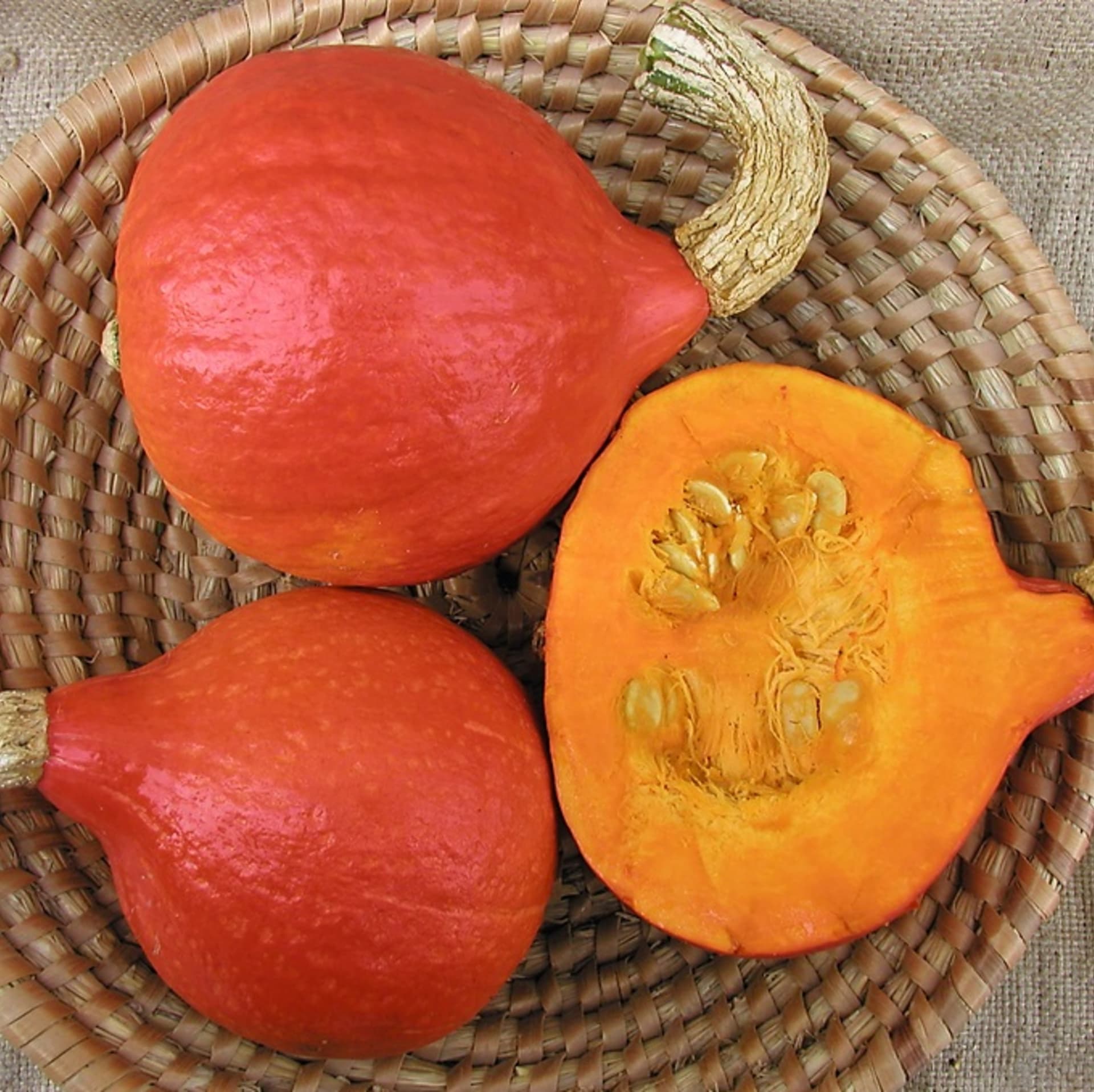 DÝNĚ HOKAIDO: odrůda Hokkaido Orange