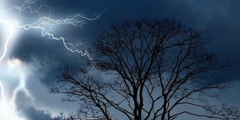 Na Česko se řítí další bouře. Hrozí výpadky elektřiny i pády stromů 