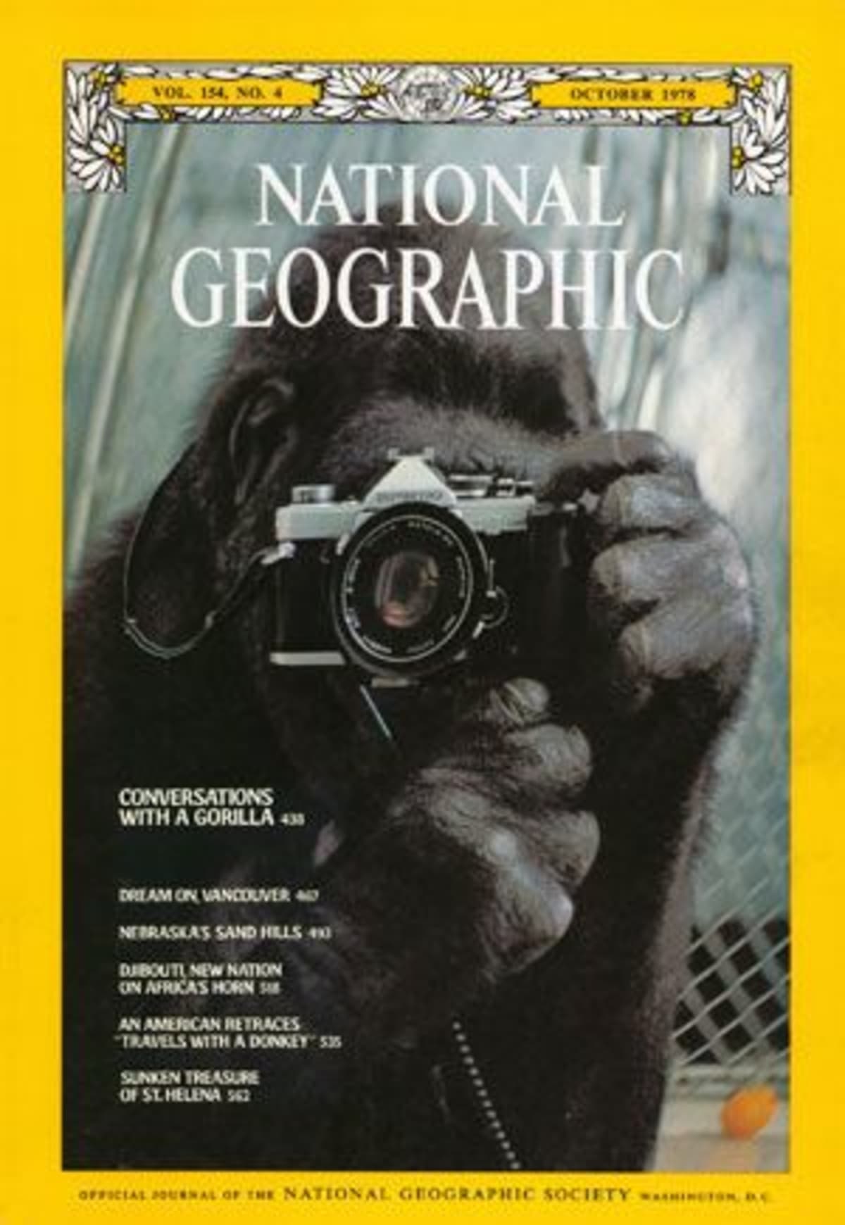 V 80. letech se Koko objevila na obálce časopisu National Geographic. Jeho titulní stránku zdobil autoportét Koko, který pořídila v zrcadle.