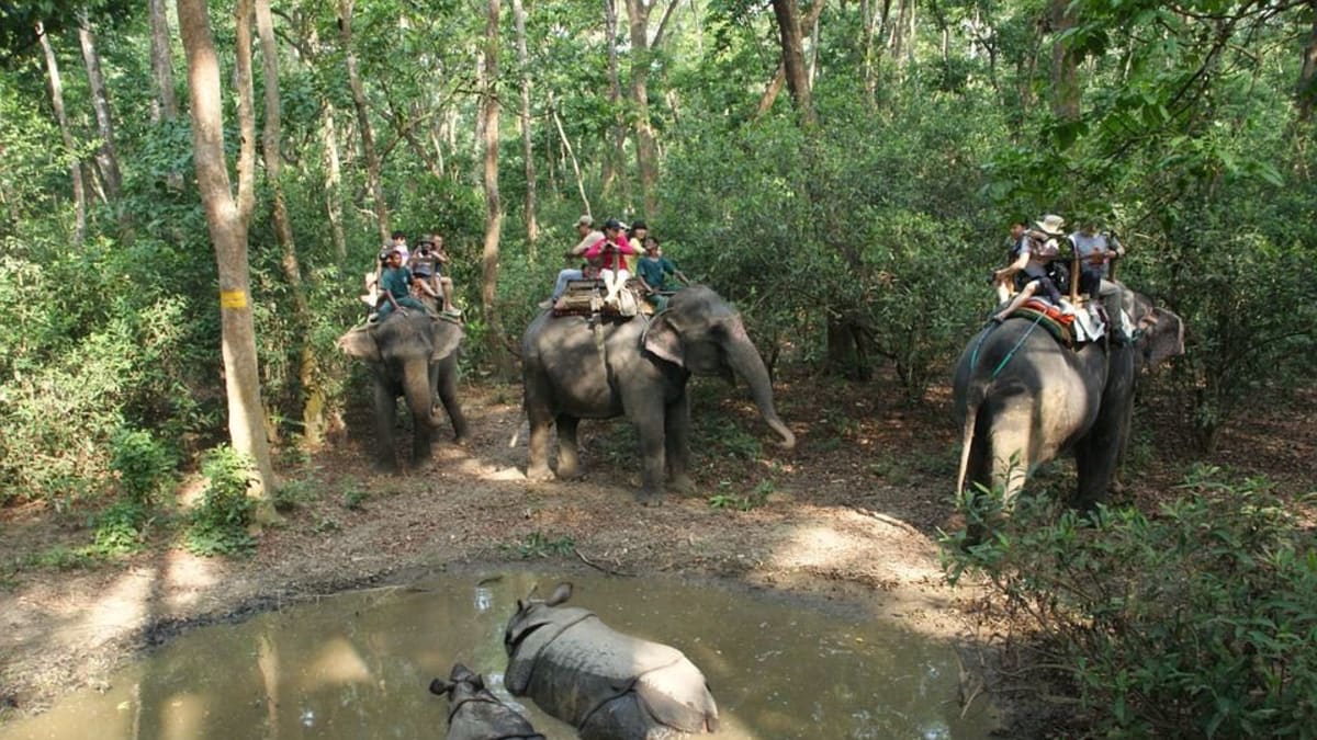 Další ze "zakázaných" atrakcí je i jízda na slonech.