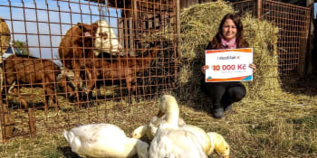 VIDEO: Díky vám jsme předali Farmě Naděje 10 000 korun! Na co je využijí?