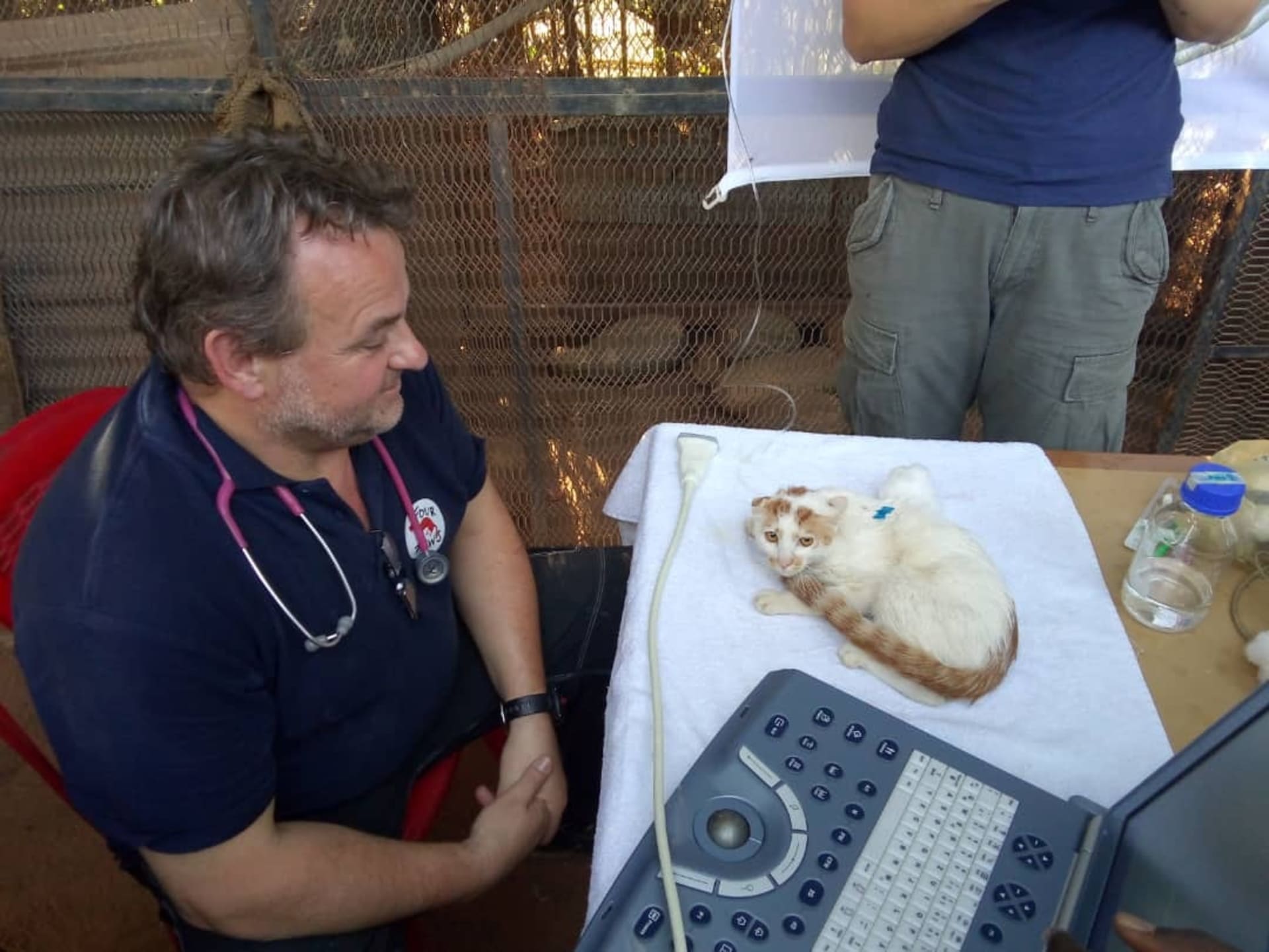 Kočka několik dní trpěla nechutenstvím, pomohli jí až veterináři z Four Paws.
