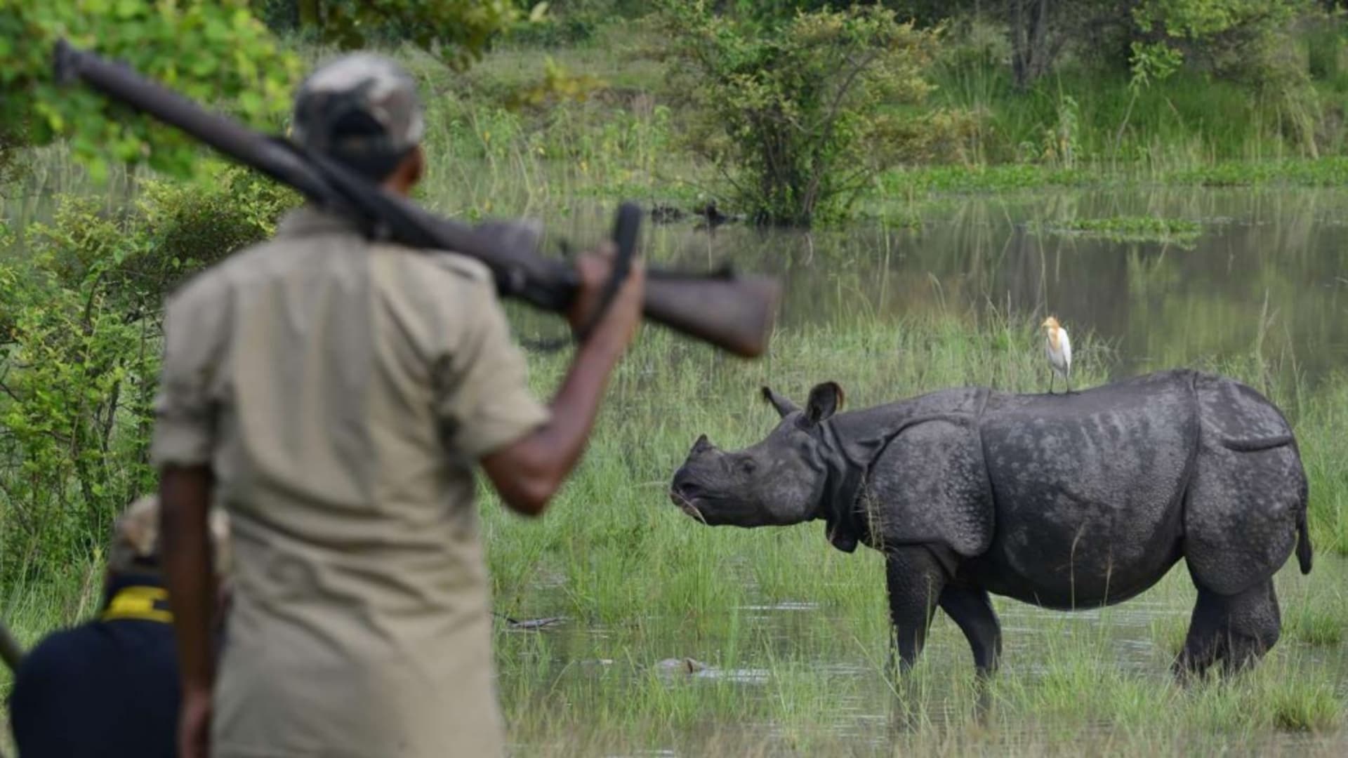 Se zbraní v ruce - takové ochrany si užívají zdejší nosorožci.
