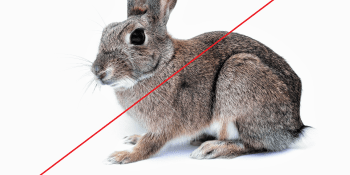 Přeškrtnutý králíček nestačí! Aneb jak poznat kosmetiku, která není testovaná na zvířatech?
