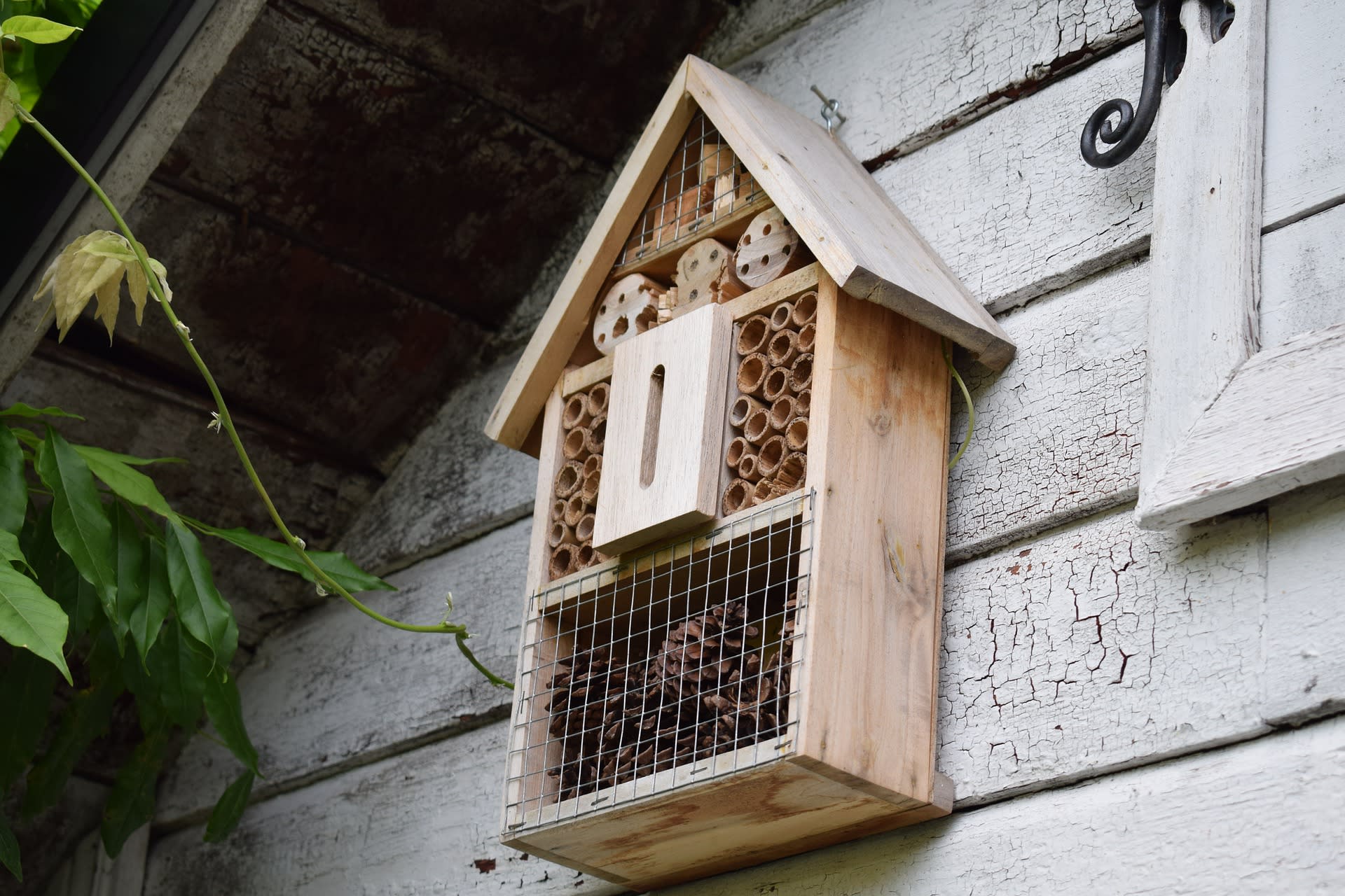 Čmelákům můžete pomoci i vy - třeba umístěním hmyzího hotelu na vaší zahradě.