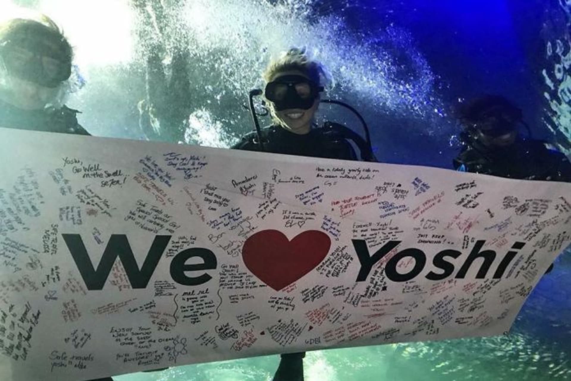 Yoshi má i velikou fanouškovskou základnu.