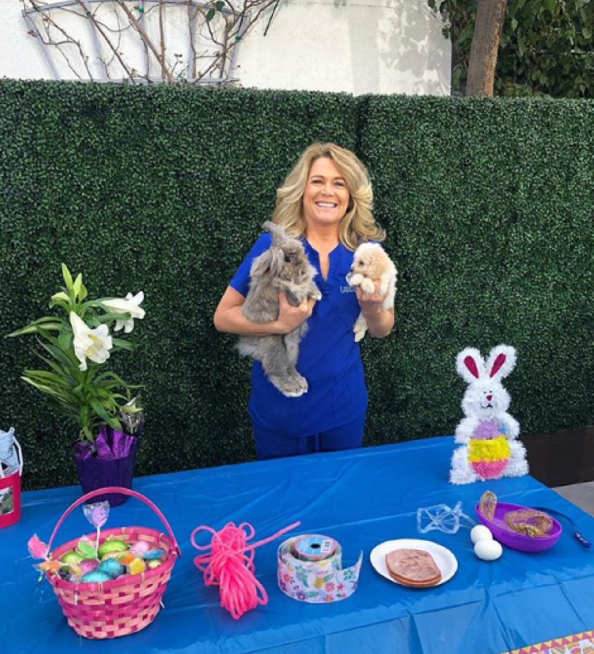 Králičí útulek Bunnyluv v Kalifornii se snažil loňské Velikonoce najít svým svěřencům domovy