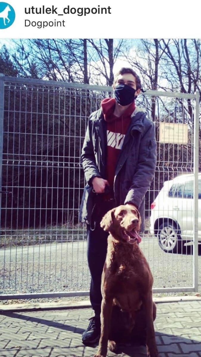 Bruno s novým páníčkem bydlí v Praze/Dogpoint