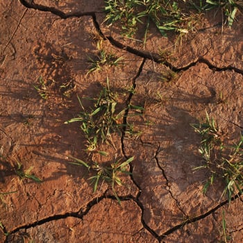 Sucho může ohrozit úrodu
