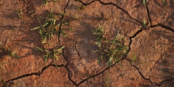 Sucho v Česku může ohrozit zemědělskou výrobu, varují odborníci