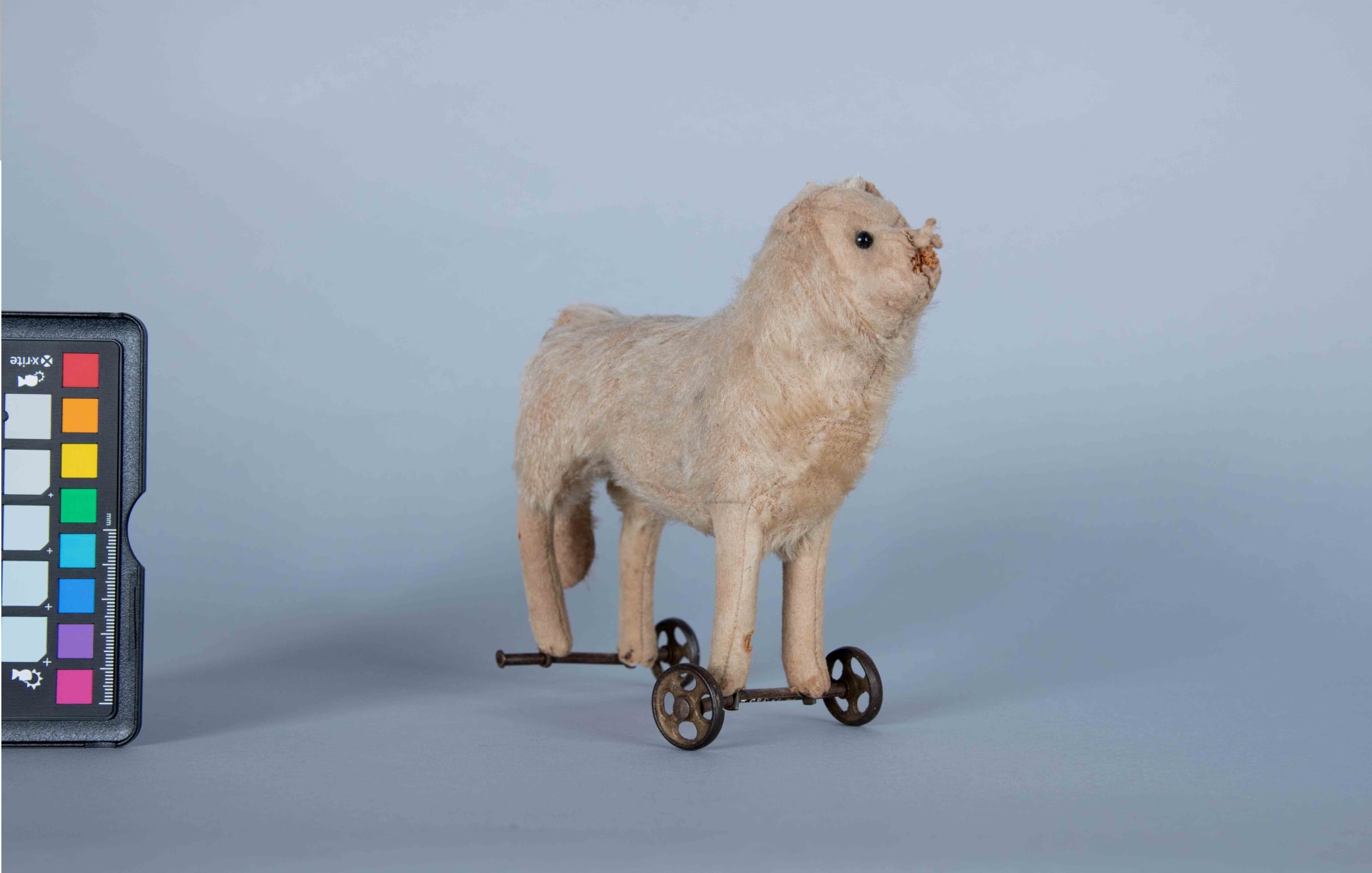 Tahle prokletá dětská hračka se zase sama pohybuje. Zaměstnanci ji někam umístí a příště ji nacházejí jinde. „Wheelie“, která byla nalezena uvnitř 155 let starého panského sídla, patří do sbírky kanadského PEI Musea.
