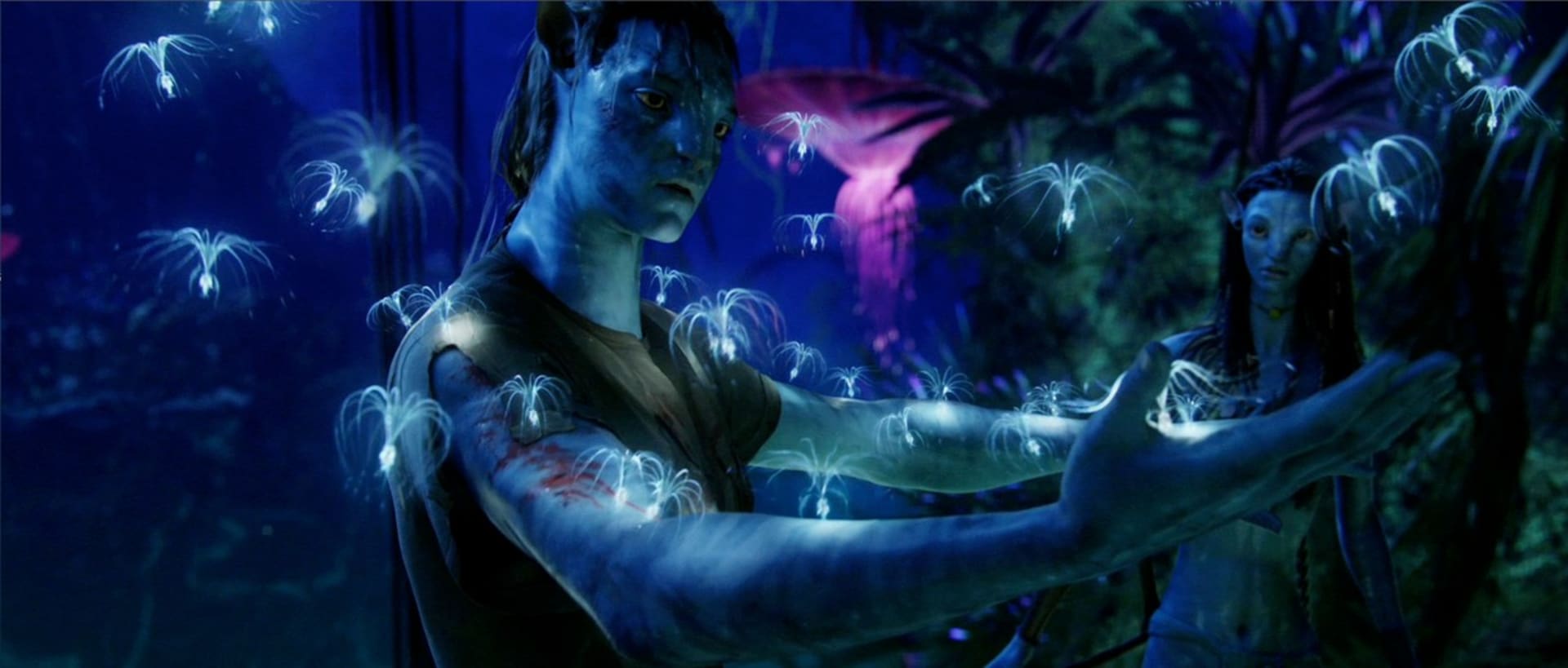 Avatar je napůl fantasy a napůl sci-fi.