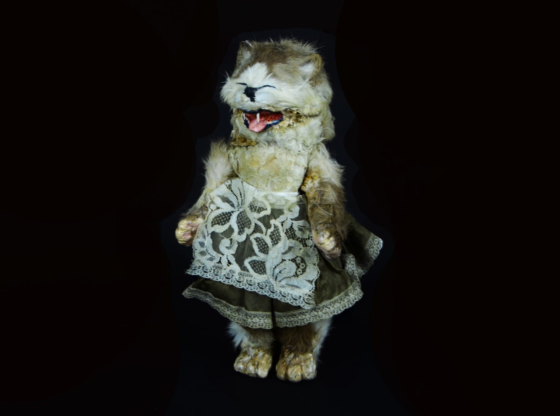 Lidová panenka z poloviny dvacátého století, jež je údajně vytvořená z preparované kočky, kterou se pochlubilo kanadské Muzeum strachu.