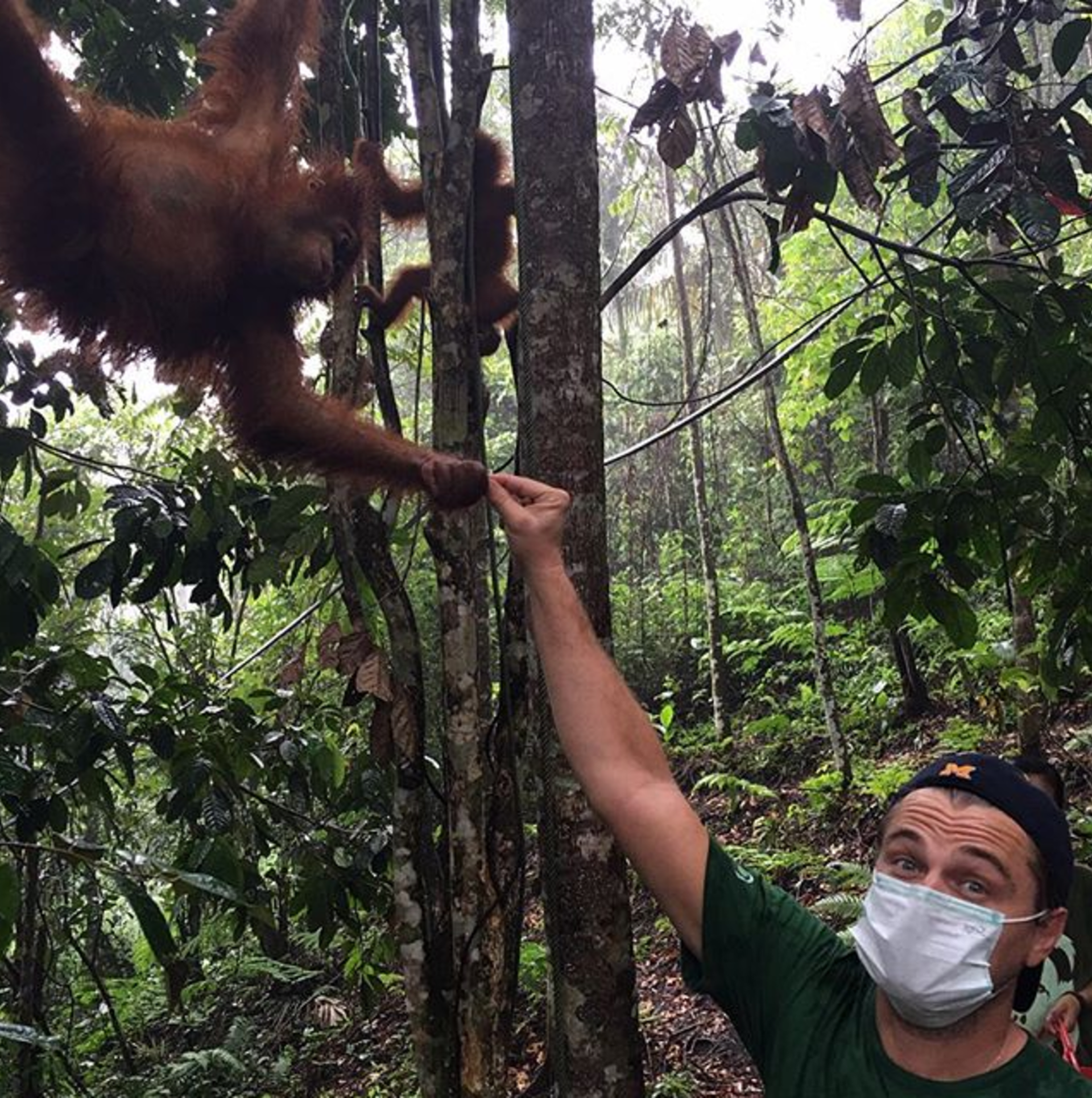 Leonardo DiCaprio patří mezi velké bojovníky za životní prostředí, práva zvířat a i on sám je veganem/Instagram Leonardo DiCaprio