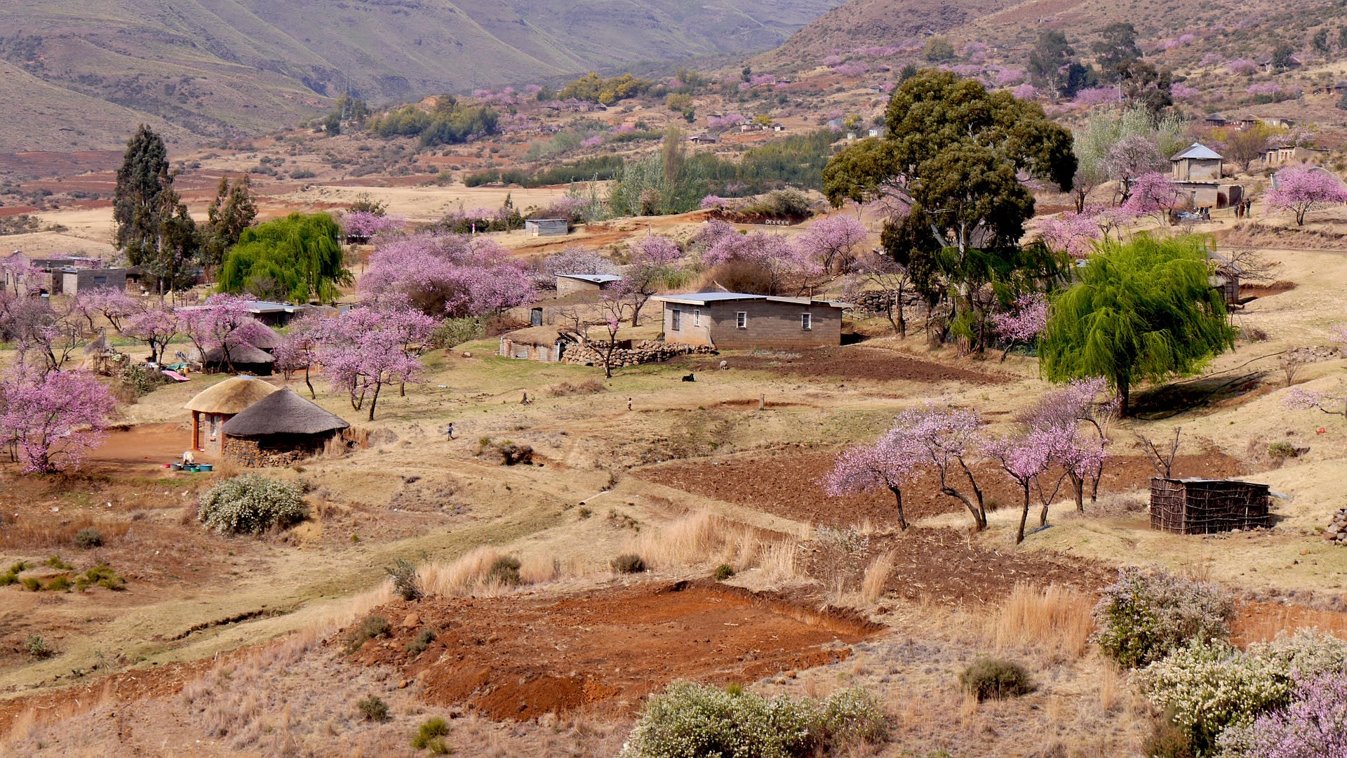 Vesnice v malém africkém státě Lesotho.