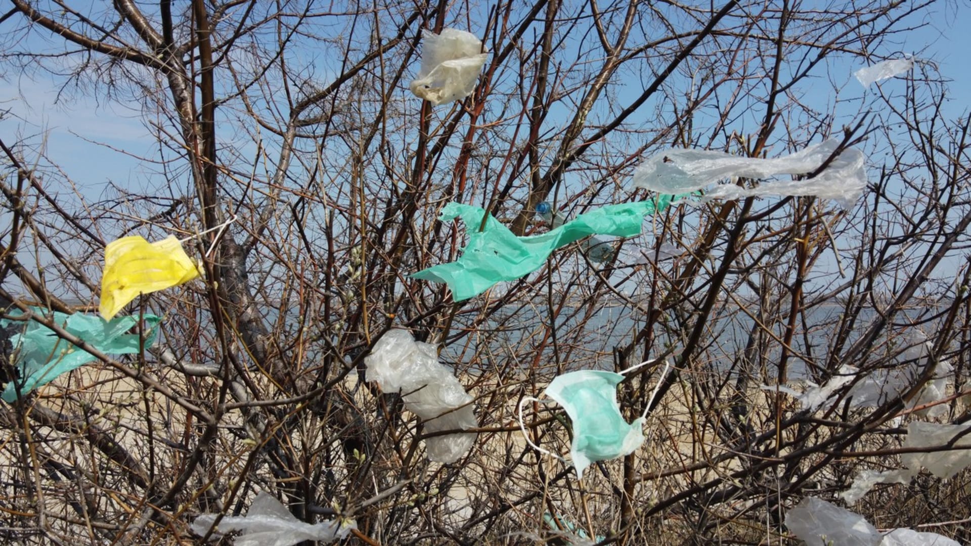 Roušky na stromech v ukrajinské Oděse.