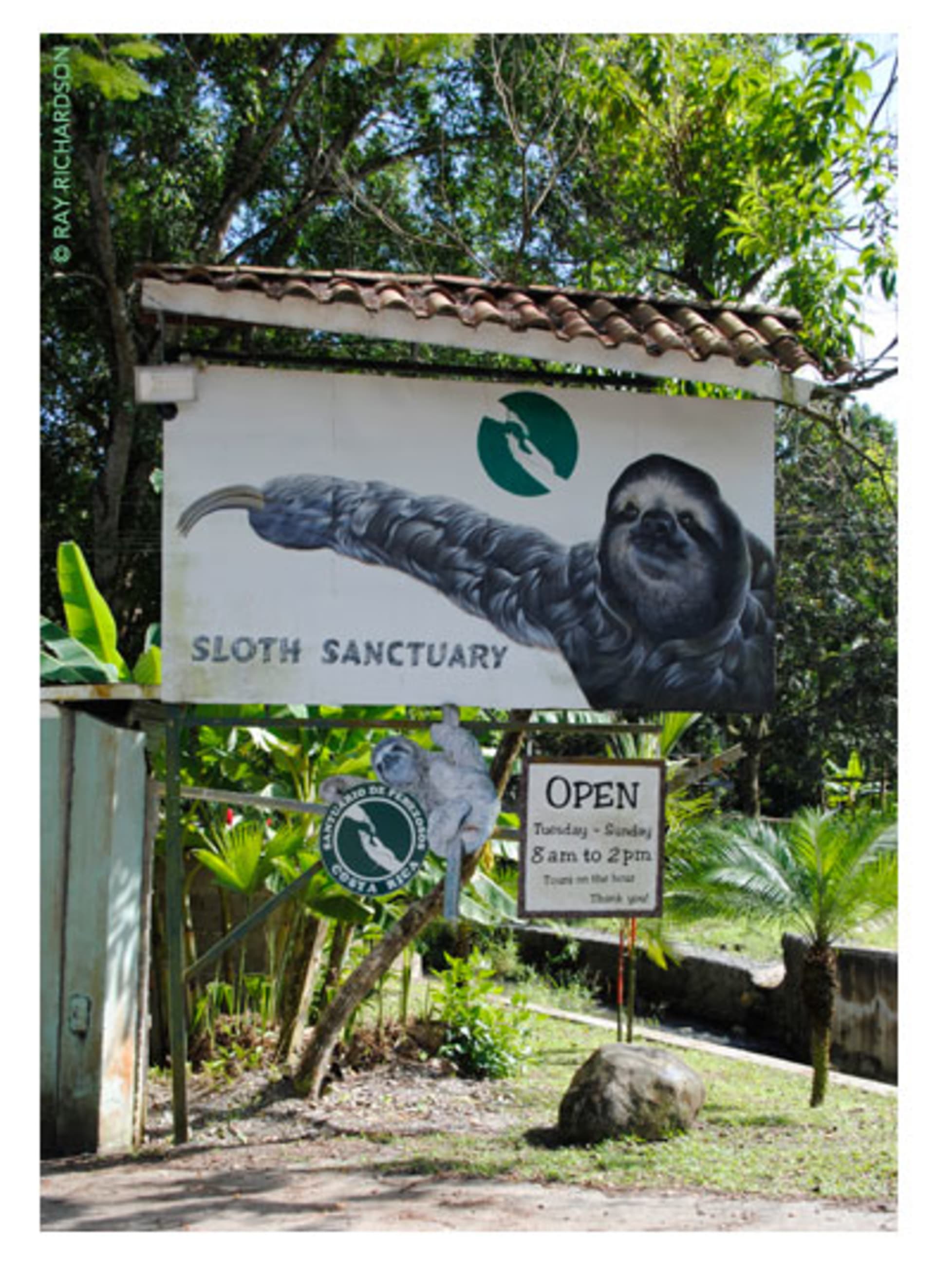 Záchranná stanice se zaměřuje na záchranu lenochodů v nouzi i na osvětu. Zdroj: Sloth Sanctuary