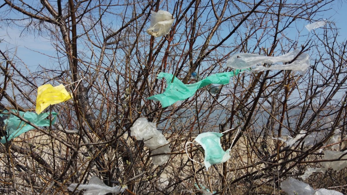 Roušky na stromech v ukrajinské Oděse.