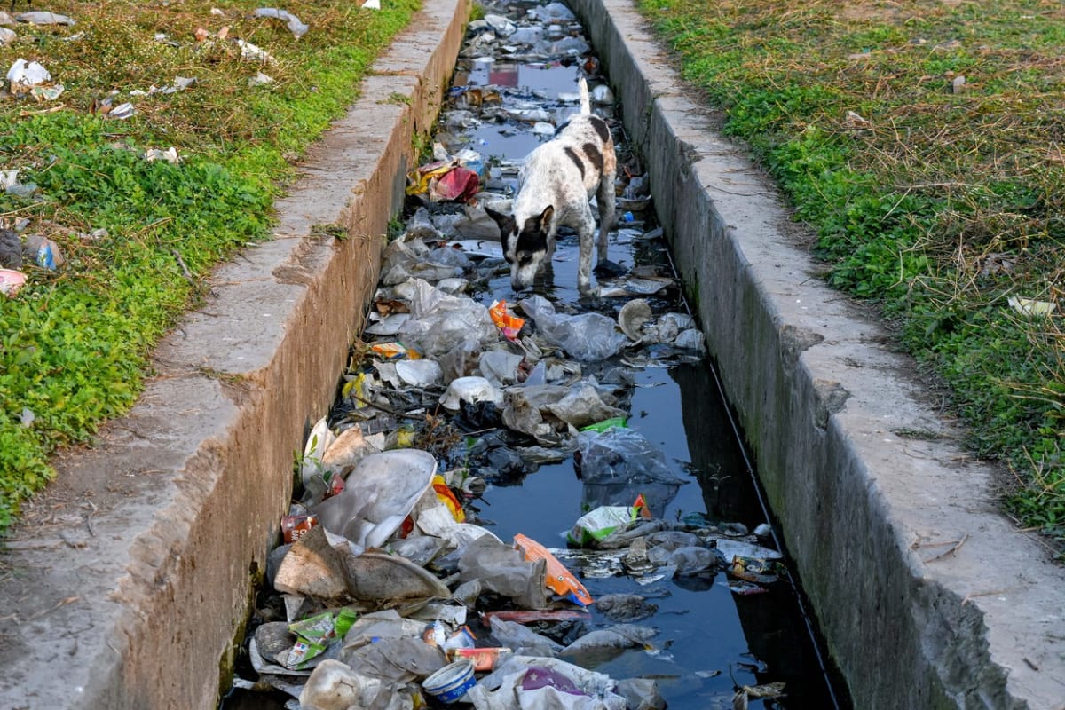 Znečištěný kanál v indické Kalkatě.