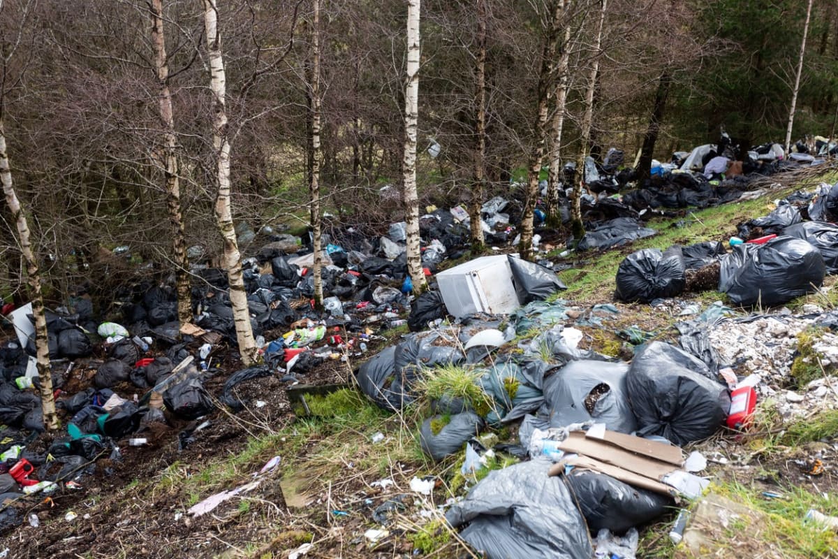 Záplava odpadu v lese poblíž anglického města Burnley.