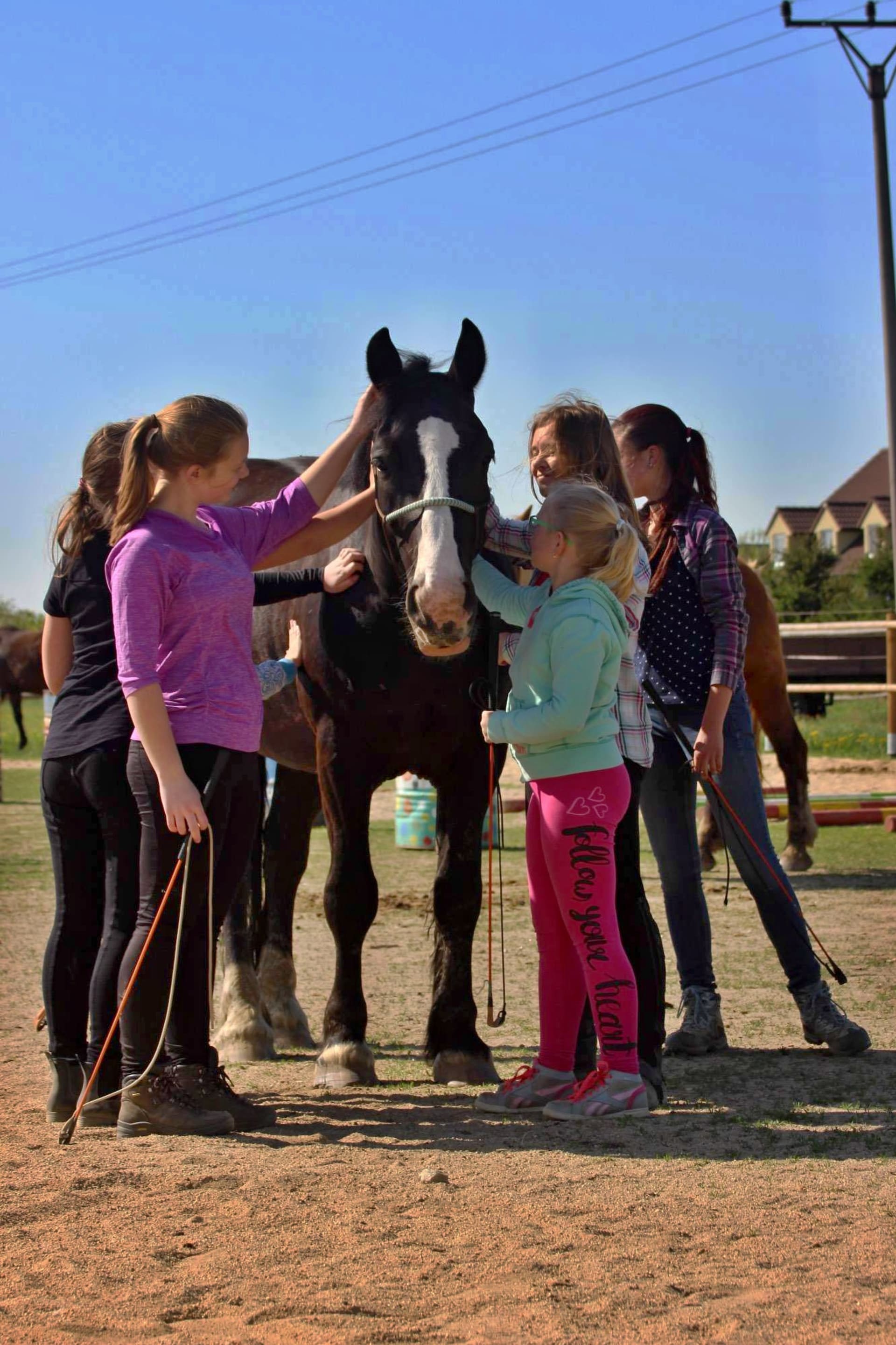Děti se učí přirozené komunikaci s koňmi. Zdroj: Vladykův dvůr