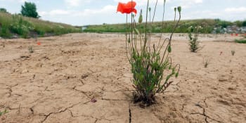 Plíživá katastrofa: Sucho v Česku je takové, jako kdyby rok nekáplo 