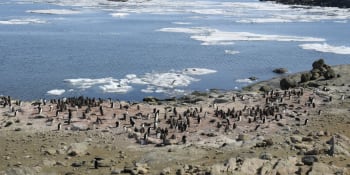Antarktida jen se štěstím unikla koronaviru. Jak pandemie ovlivnila tamní život?