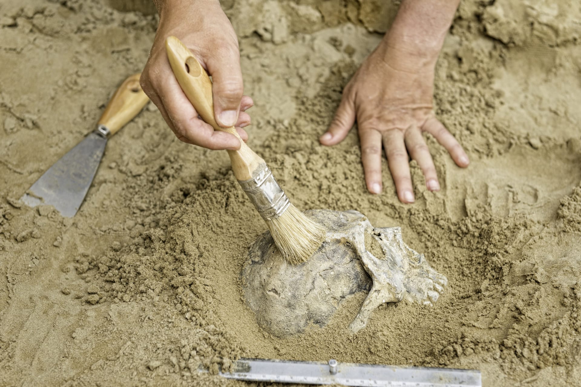 Jak dlouho je člověk moudrý, tedy Homo sapiens, v Evropě? Nový nález z jeskyně v Bulharsku ukazuje, že nejstarší nalezené kosti a zuby mají 47 000 let. Zdroj: Science