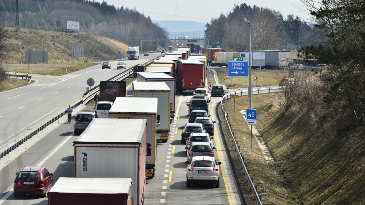 Na dálnici u Brna srazilo auto a kamion pět divočáků. (Ilustrační foto)