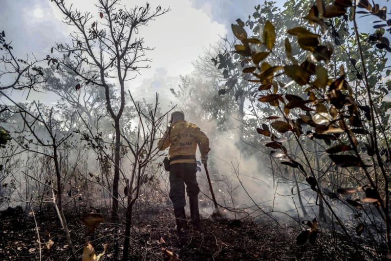 V loňském roce čelila Amazonie rekordnímu počtu požárů, letos experti očekávají ještě horší bilanci.