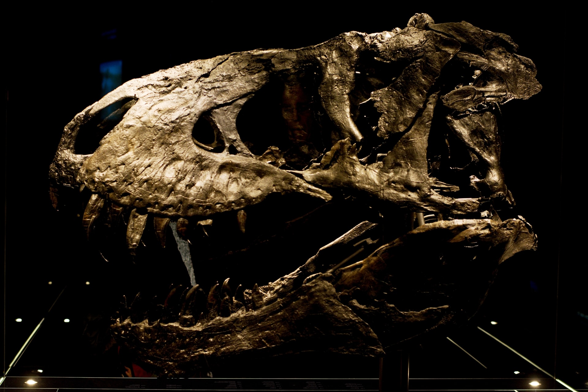 Na základě simulace vědci spočítali, že asteroid, který vyhubil dinosaury a změnil evoluci na Zemi, dopadl pod nejhorším možným úhlem 60 stupňů. Zdroj: Imperial College London 