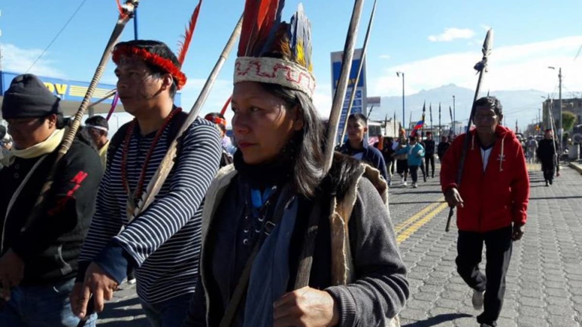 Nea Grefa Ushigua je prezidentkou původní ekvádorské komunity Sápara. Ani jí se nevyhýbají vyhrůžky smrtí. Zdroj: Global Witness