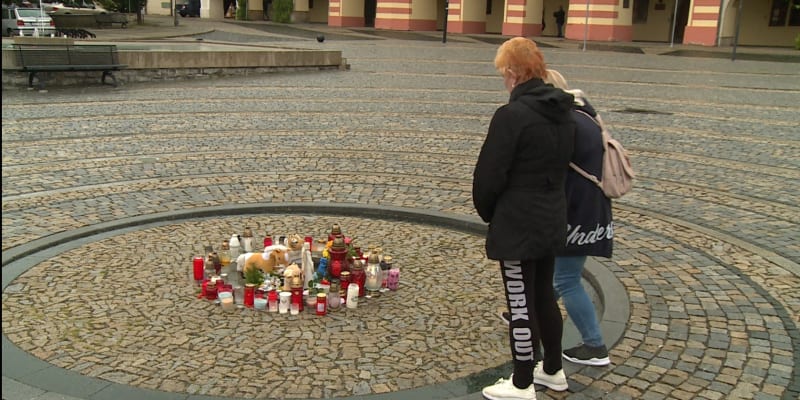 Čtyřměsíční Tadeášek se ztratil v pátek večer na Mělnicku