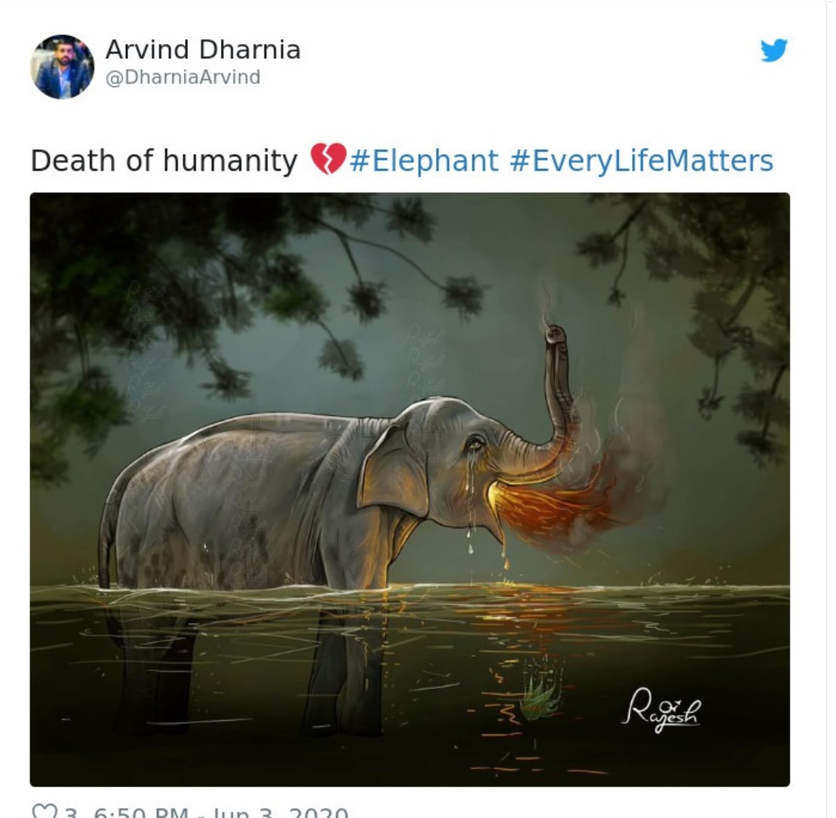 Lidé po celém světě uctívají památku uhynulé slonice. Zdroj: Instagram