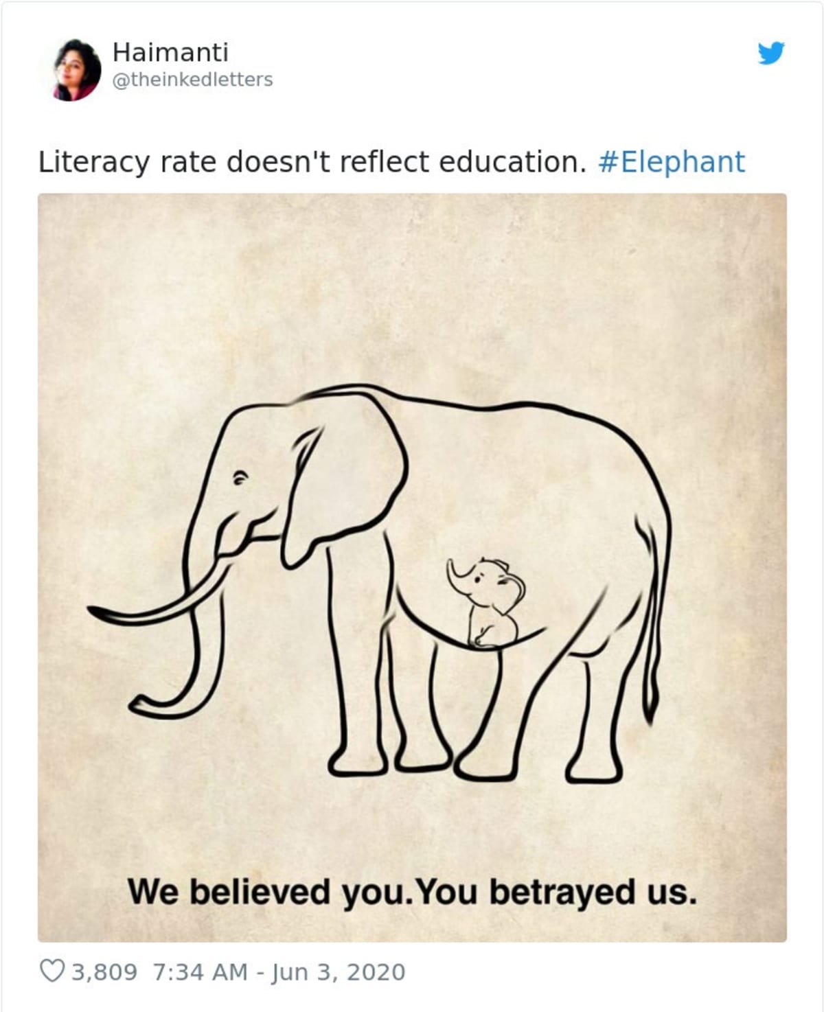 Lidé po celém světě uctívají památku uhynulé slonice. Zdroj: Twitter