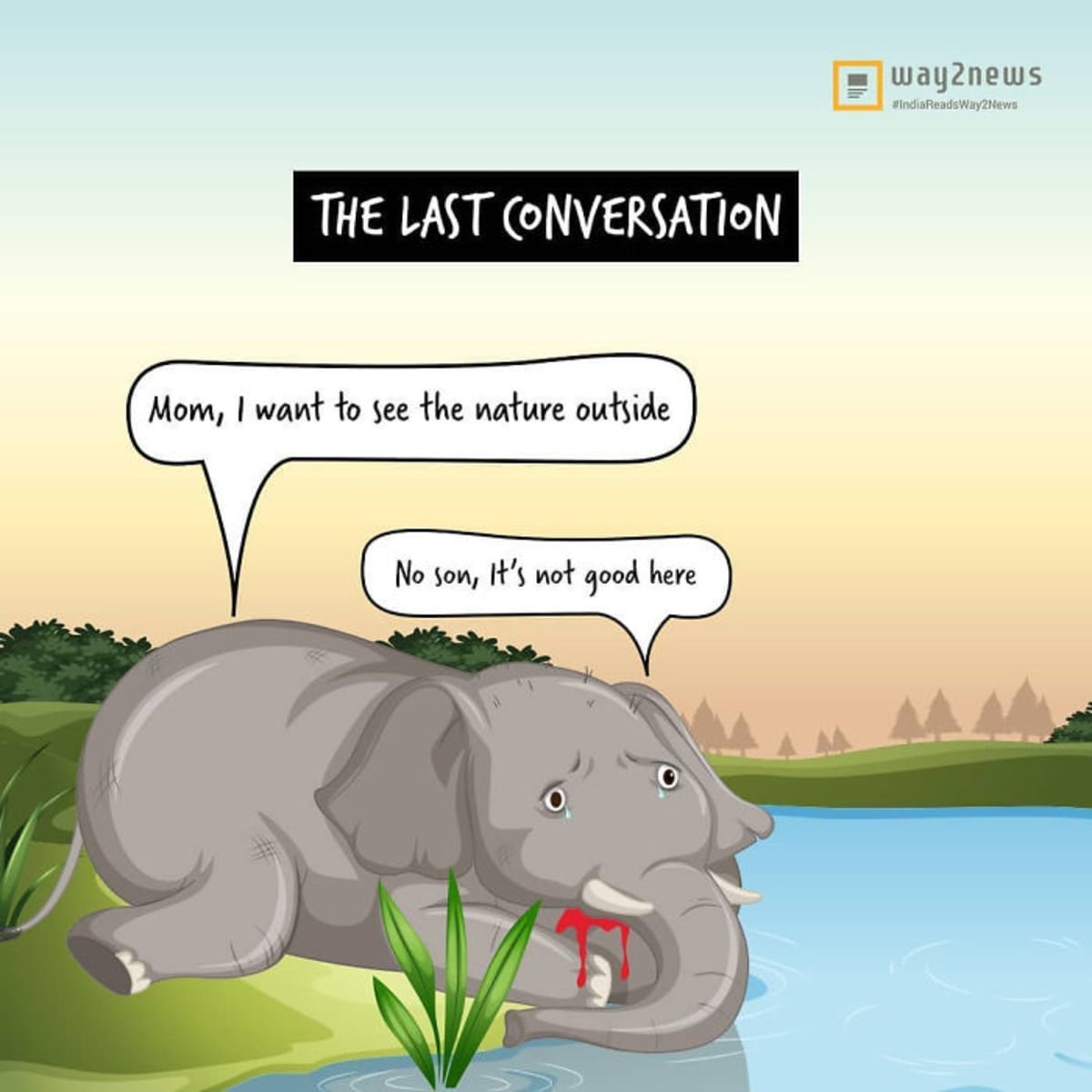 Lidé po celém světě uctívají památku uhynulé slonice. Zdroj: Instagram