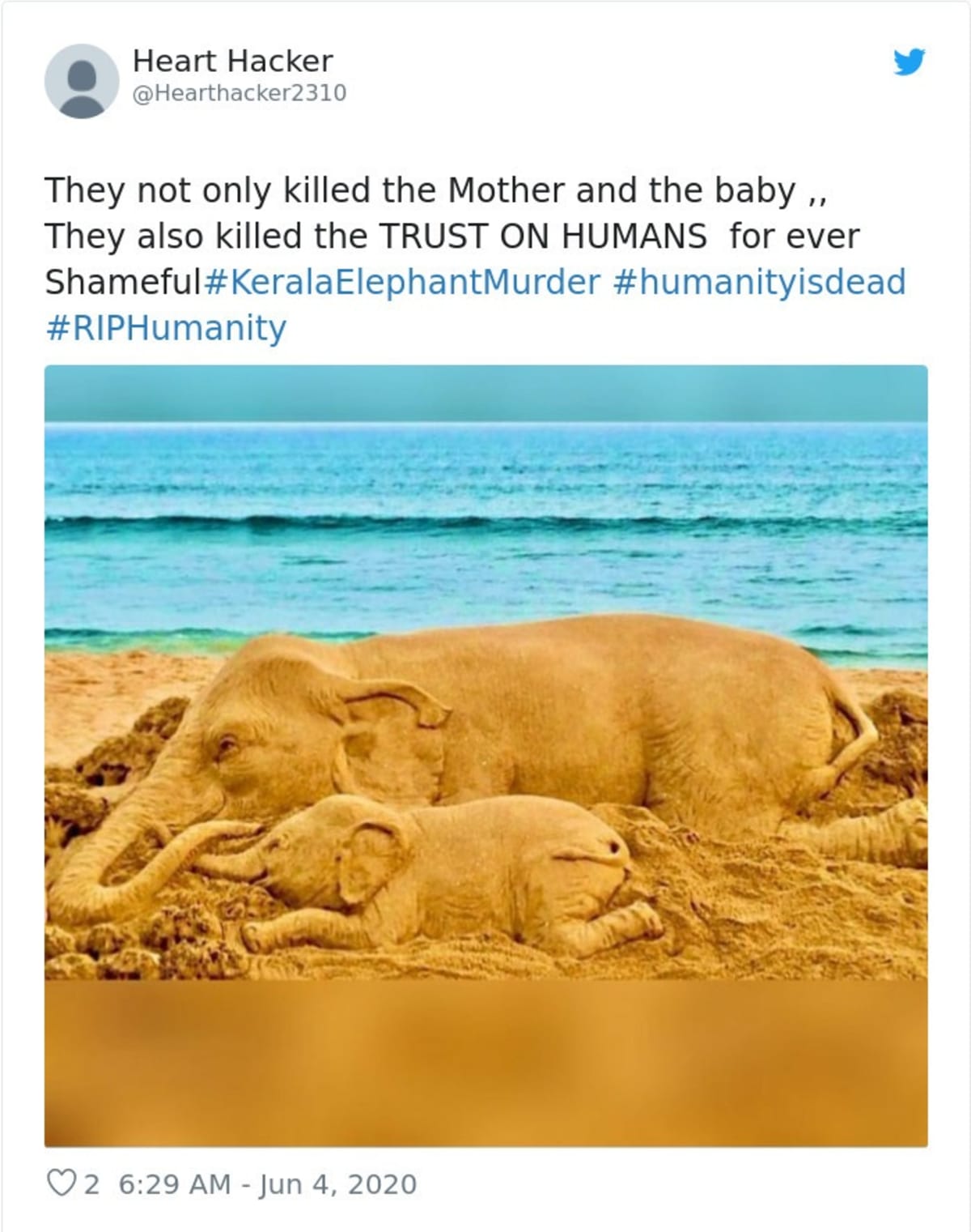 Lidé po celém světě uctívají památku uhynulé slonice. Zdroj: Twitter