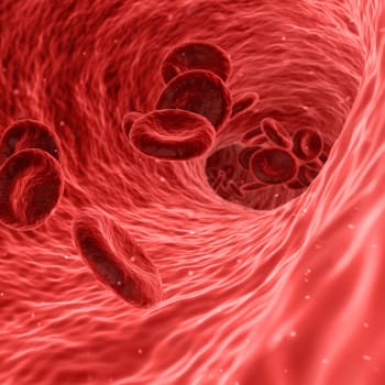 Vědci vyrobili syntetické červené krvinky, které mají všechny přirozené schopnosti těchto buněk.