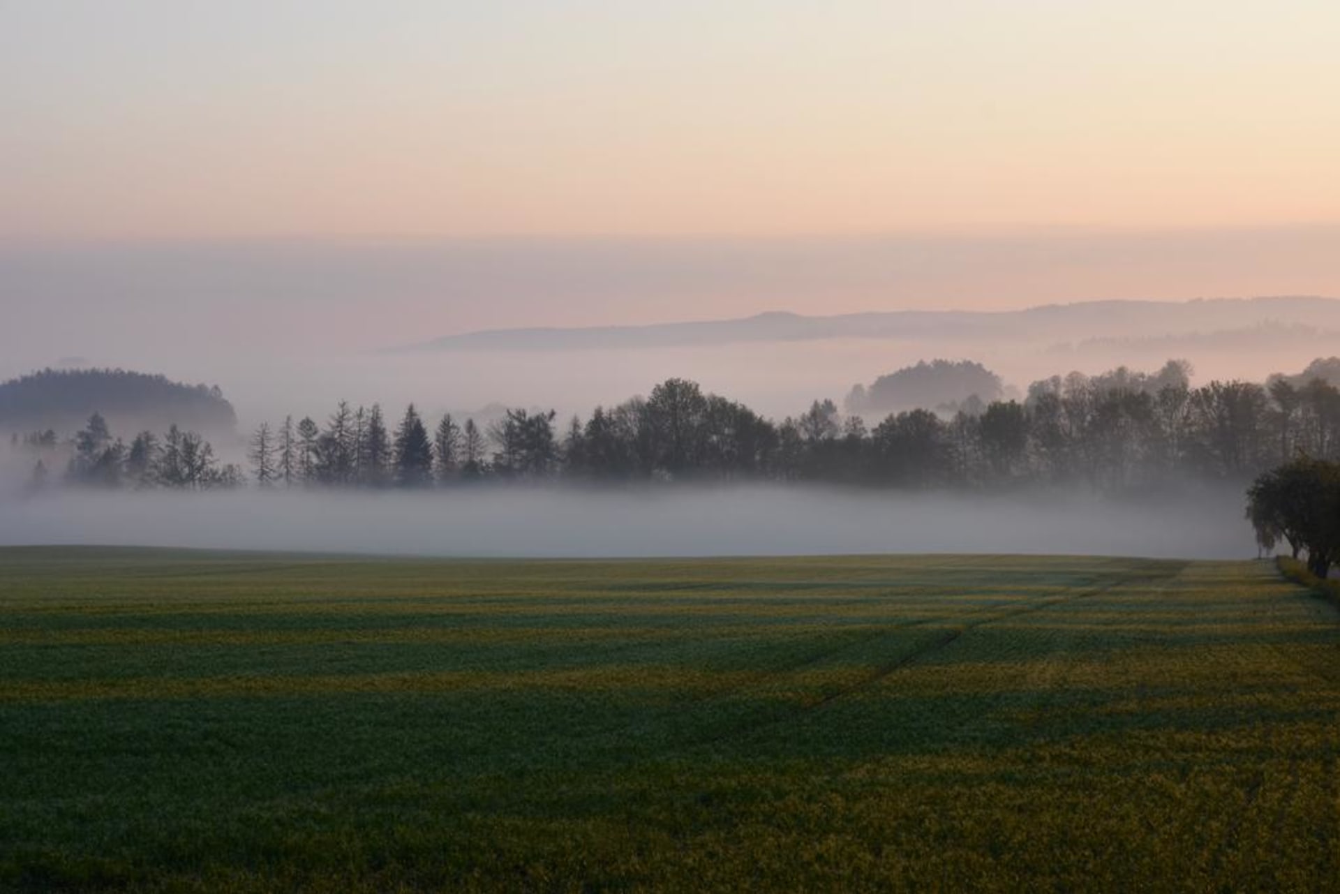 ČHMÚ varuje před ranními mlhami nebo nízkou oblačností. (Ilustrační foto)