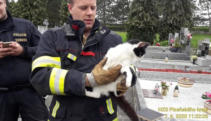 Hasičům se podařilo zachránit mňoukající kočku na hřbitově