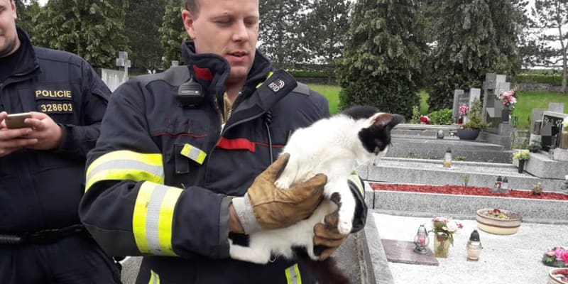 Hasičům se podařilo zachránit mňoukající kočku na hřbitově