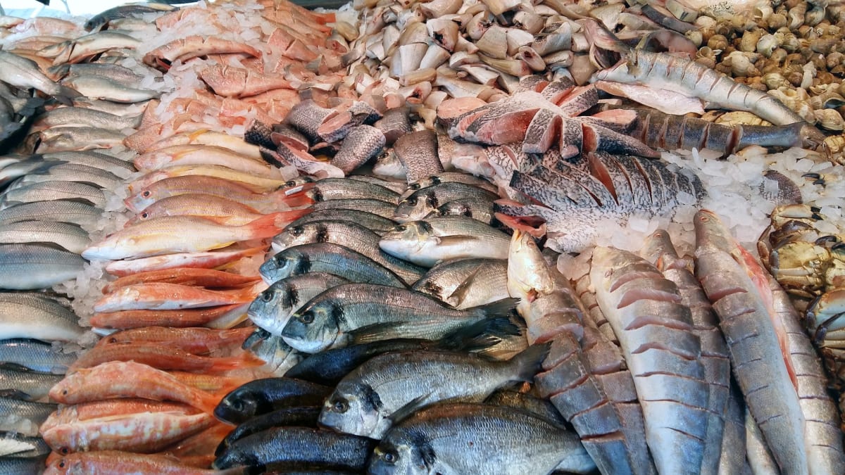 Čerstvé ryby obsahují potřebné omega-3 mastné kyseliny.