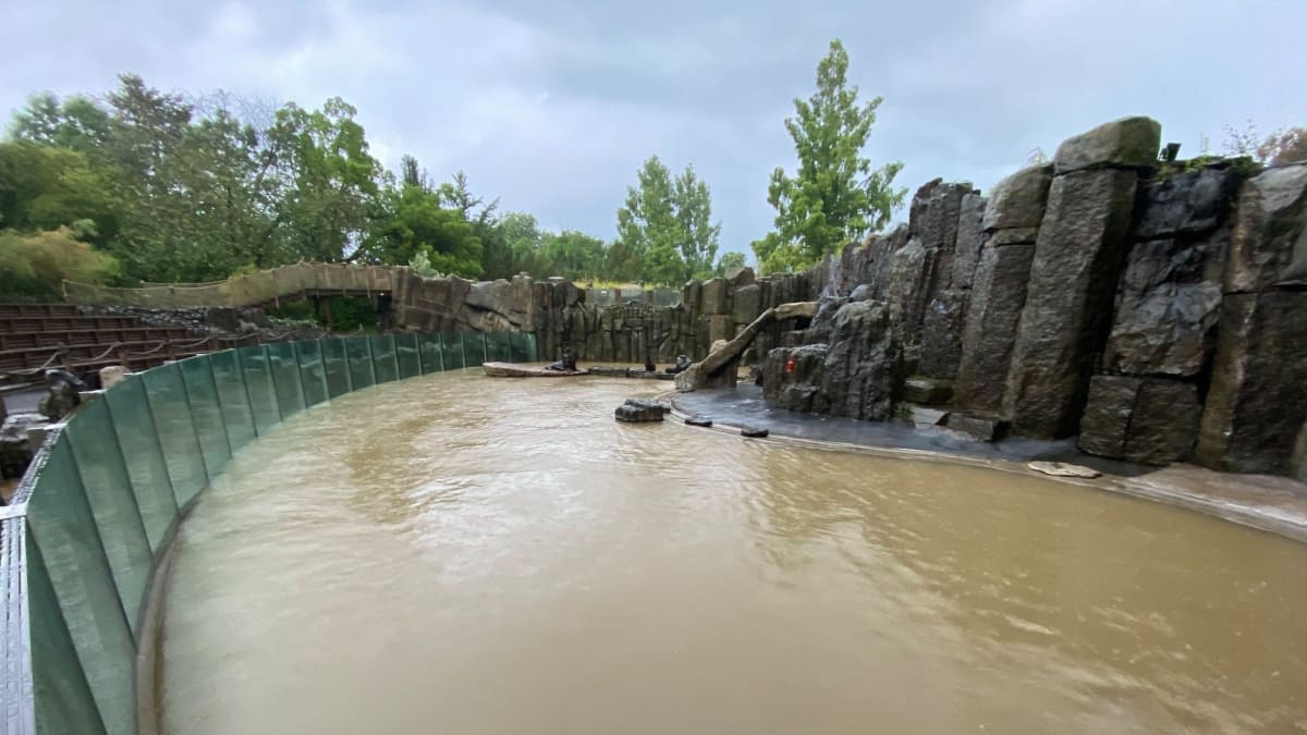 Povodeň v pražské zoo