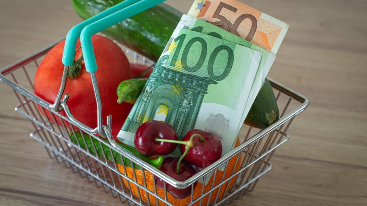 Potraviny jsou z celé Evropské unie nejdražší v Dánsku. Česko je má asi o patnáct procent levnější, než je průměr EU.