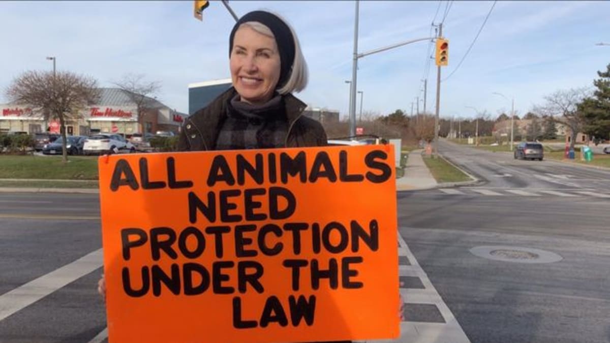 „Všechna zvířata musí být chráněna zákonem.“ Zdroj: Animal Justice