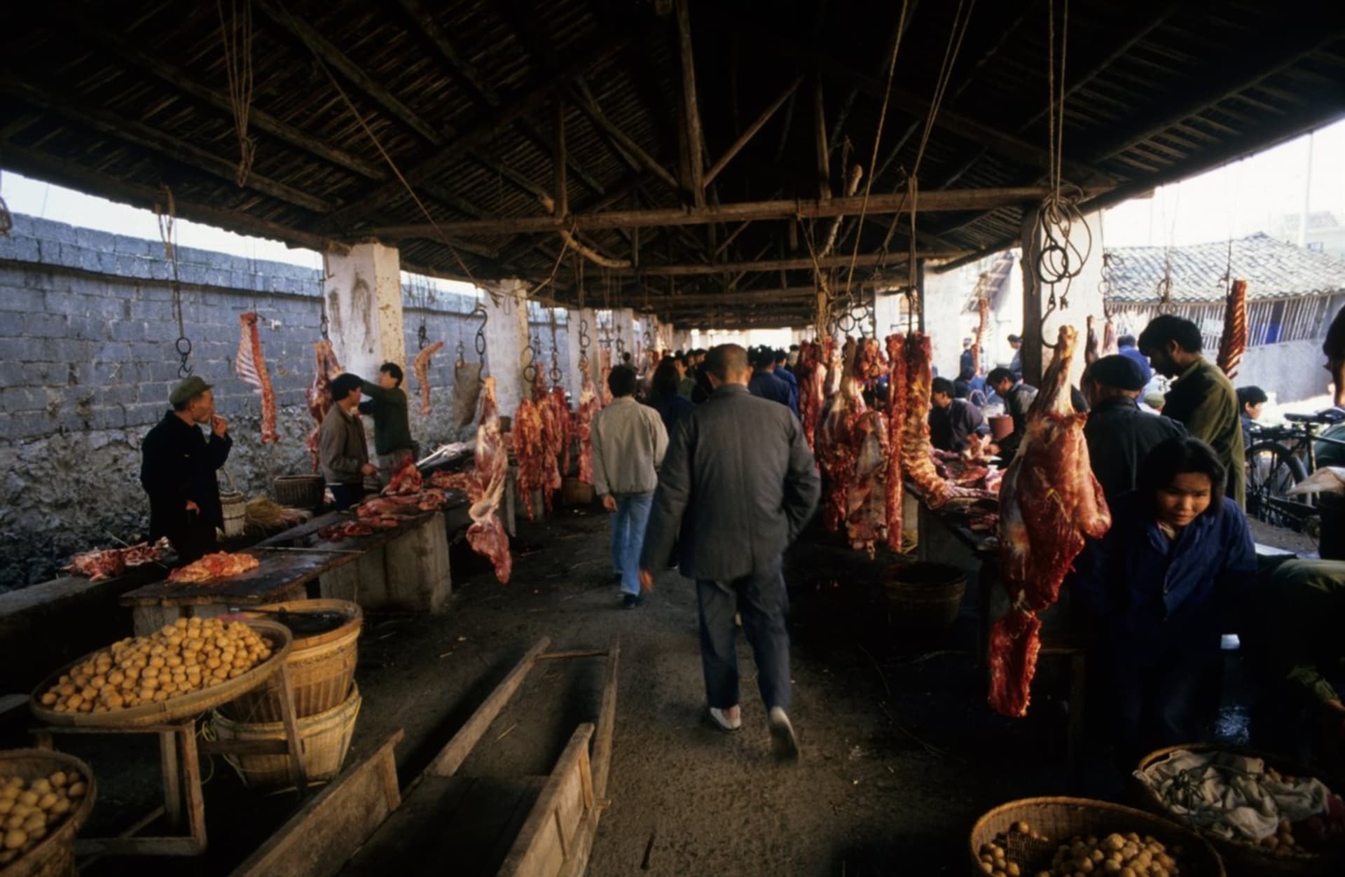 Tržiště se psím masem ve městě Jang-šuo v jižní Číně