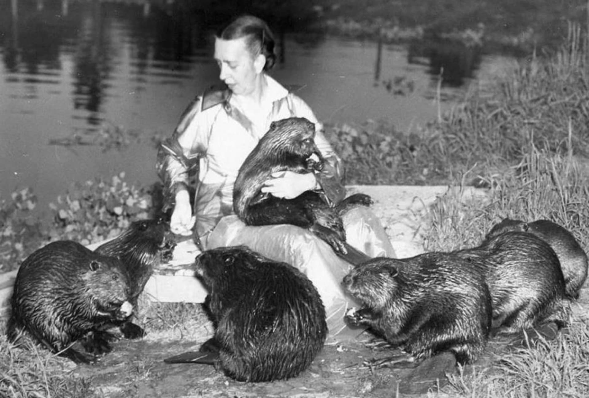 Dorothy Richards se ochraně bobrů věnovalo dlouhých padesát let. Zdroj: Beaversprite