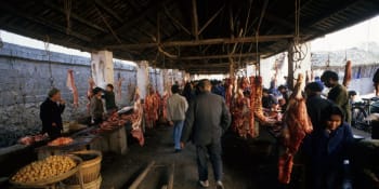 V Číně začal nechvalně proslulý festival psího masa. Vládní kampani navzdory